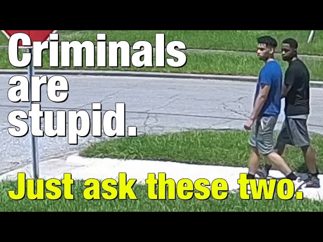 Criminals are stupid - Part 1