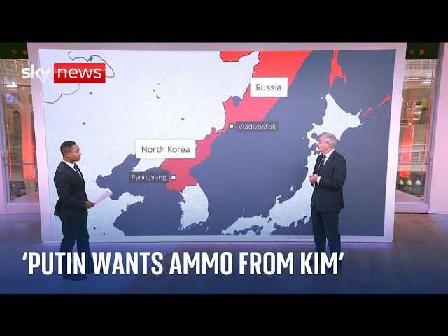 Ukraine War: Which weapons could North Korea sell to Russia?