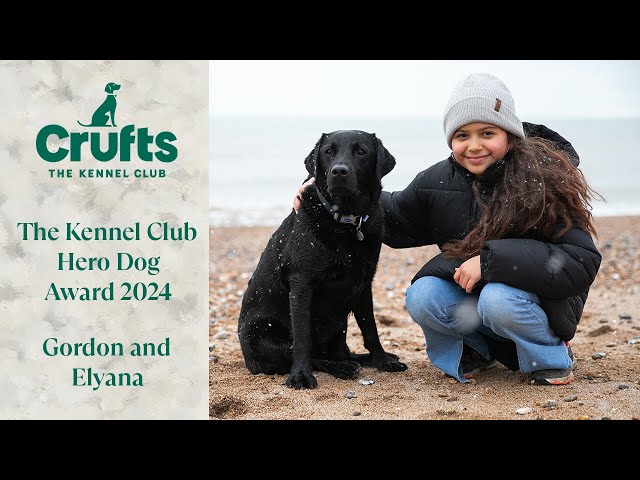 Gordon and Elyana | The Kennel Club Hero Dog Award 2024
