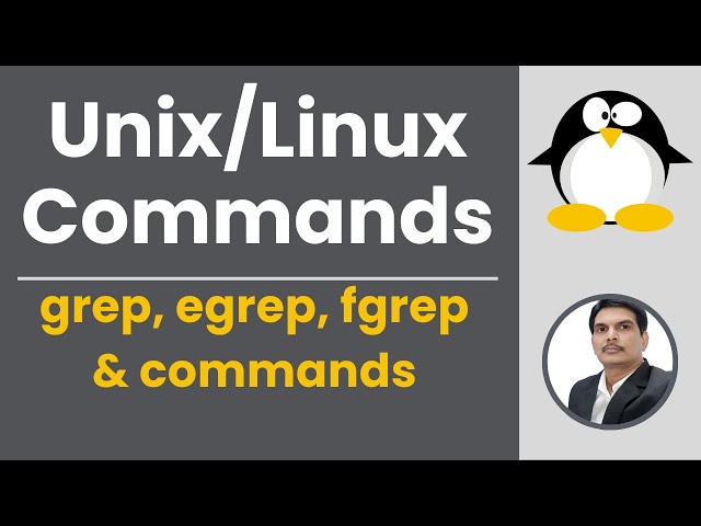 Part 11 - Unix/Linux for Testers | grep | egrep | fgrep commands
