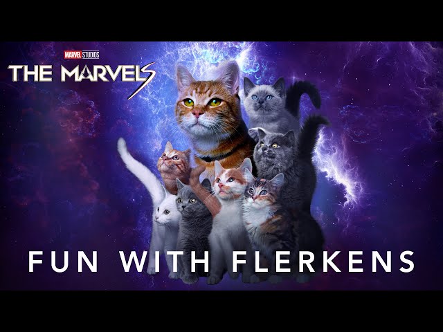 🔴 The Marvels | Fun With Flerkens: CatCafe Lounge LIVE 🔴
