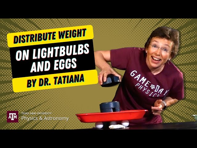 Add Heavy Weight On Lightbulbs And Eggs Using Physics!
