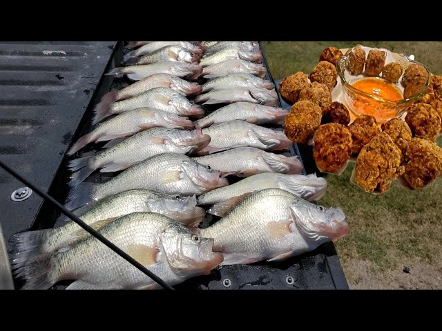 How We (CATCH CLEAN COOK) Monster Crappie *Brand New Recipe*