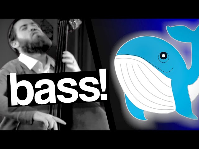 So...bass solos kinda sound like cartoon whales | VIEWER CRITIQUES