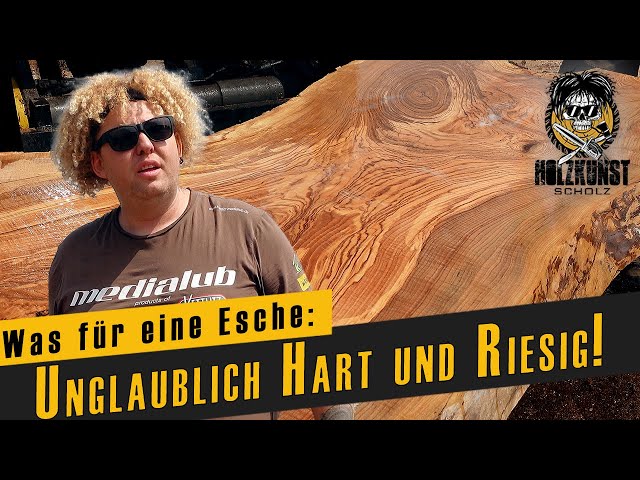 Unglaublich Hart und Riesig! / Die Esche auf dem Sägewerk / Holzkunst Scholz offiziell