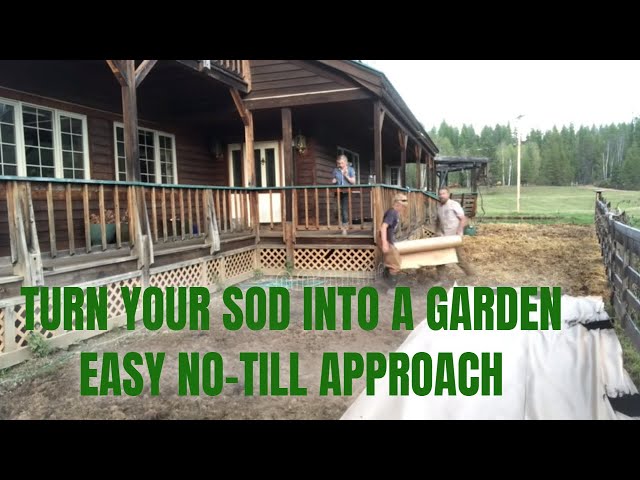 Turn Your LAWN into a Thriving GARDEN! How to Use the LASAGNA GARDENING METHOD