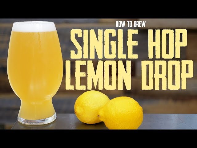 Single Hop (Lemon Drop) Hazy Session IPA