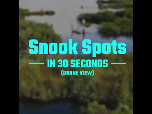 How To Find Snook In Less Than 30 Seconds [Snook Hotspots!!]