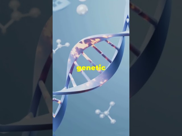 Genetics & Us: Evolution's Blueprint! #genetics