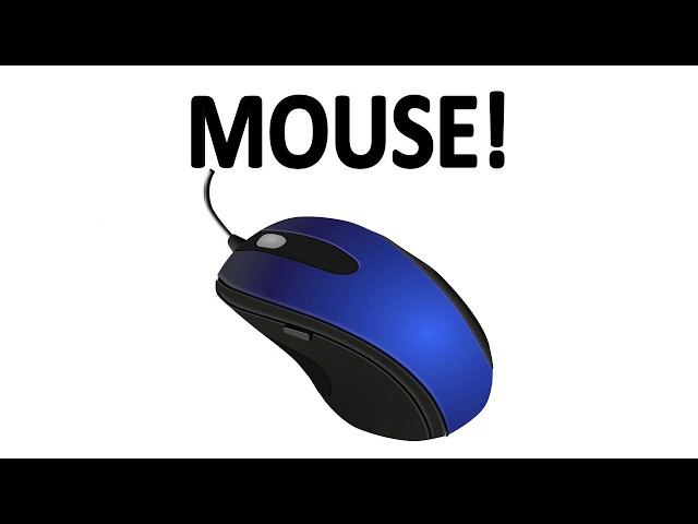 How Does a Mouse Work?