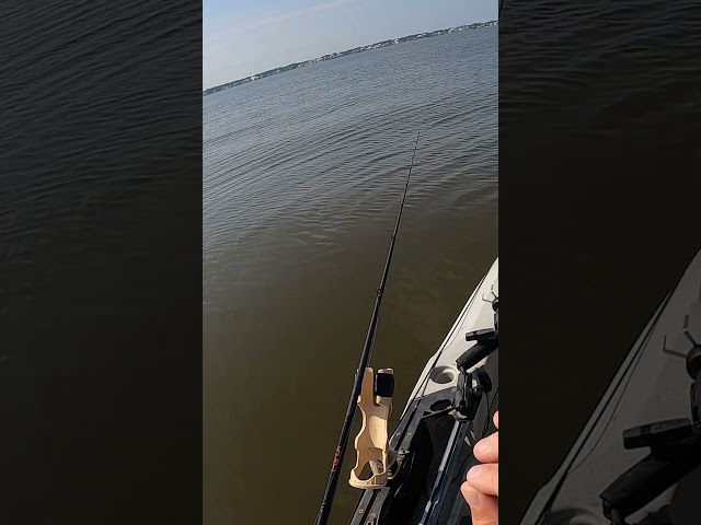 Instantly Trigger More Topwater Strikes By Doing THIS