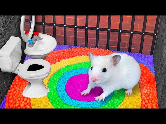 Hamster Escapes the Rainbow Prison with ball pool