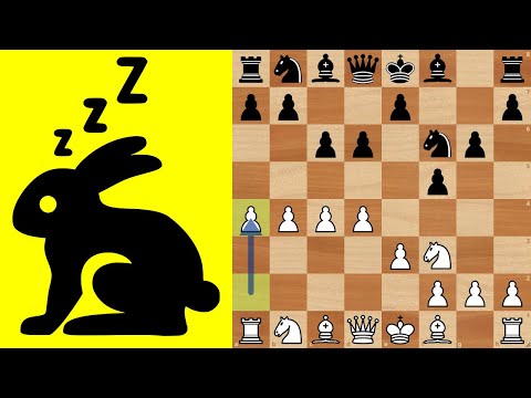 Rapid Chess Tournaments for Sleep?
