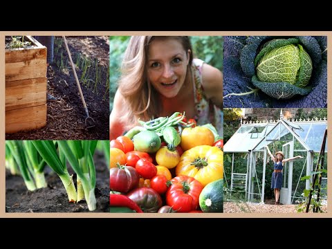 Bau dein eigenes Gemüse an!