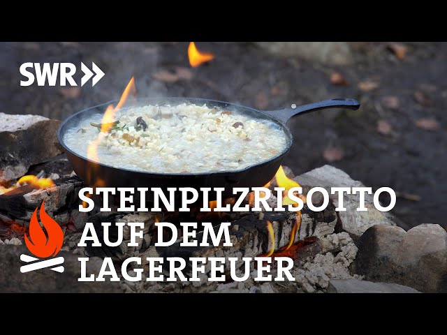 Pilze sammeln für ein Waldpilz-Risotto auf dem Lagerfeuer | SWR Feuer & Pfanne | ASMR
