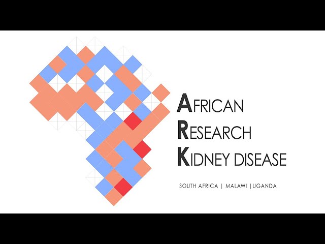 Widely-used kidney function tests underestimate scale of kidney disease in Africa