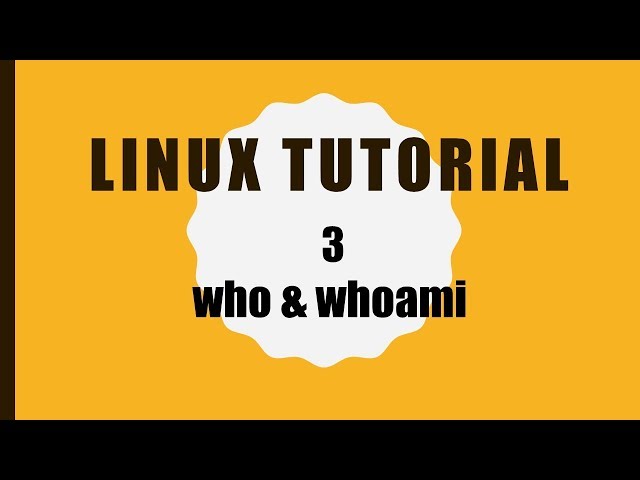 How to use who & whoami command in Linux