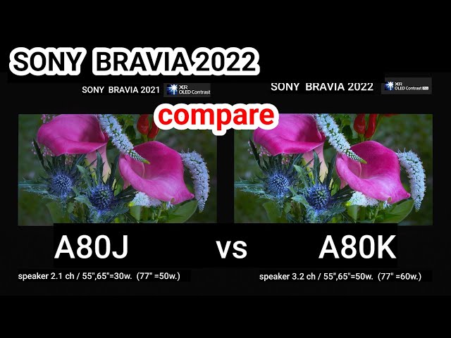 SONY A80K vs A80J #compare