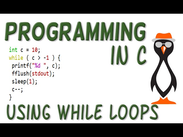 C Programming While Loops on the Raspberry Pi