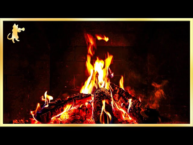 🔥 COZY FIREPLACE BURNING (No Music) 🔥 Relaxing Fireplace & Crackling Fireplace Sounds • 12 HOURS