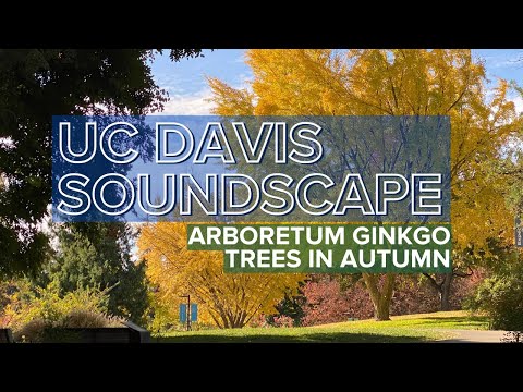 UC Davis Soundscapes