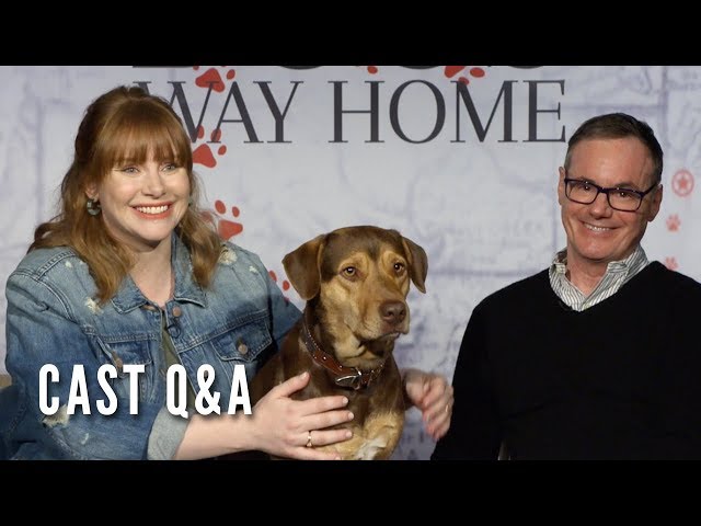 A DOG'S WAY HOME - Cast Q&A (Bryce Dallas Howard, W. Bruce Cameron)