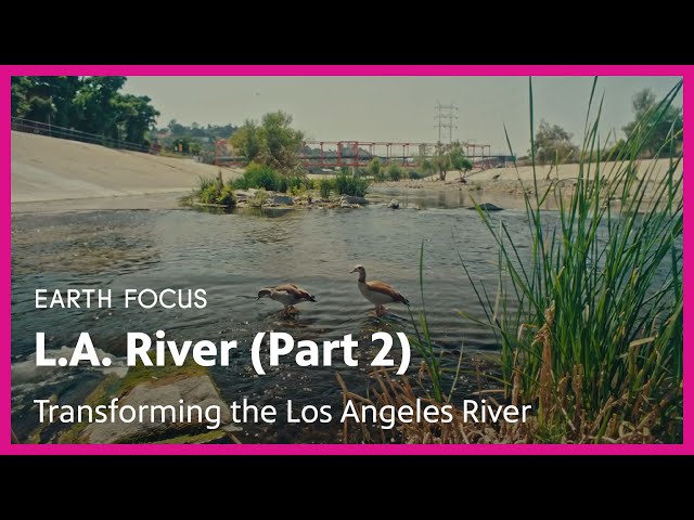 Transforming the Los Angeles River | Earth Focus | Season 5, Episode 2 | PBS SoCal