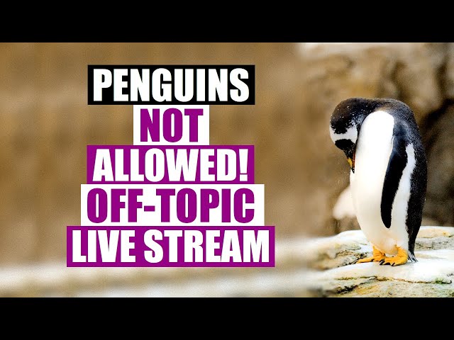 The Off-Topic Live Stream (No Linux Allowed!) - DT LIVE