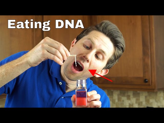 Is it Dangerous To Eat Pure DNA? Extracting and Eating Pure DNA