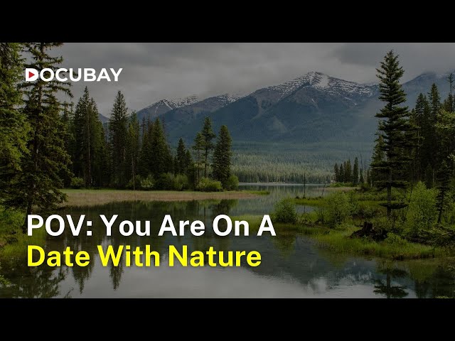 The Mesmerizing Beauty and Calmness of Nature | DATE WITH NATURE, Watch Documentary!