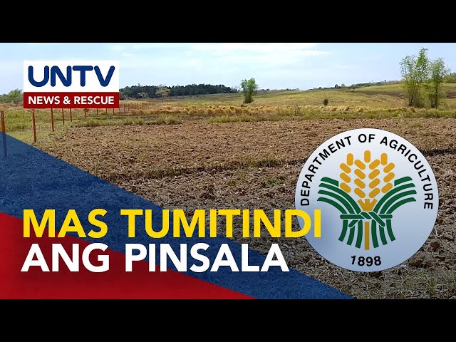 Danyos ng El Niño sa sektor ng agrikultura,  pumalo na sa P5.9 billion - DA