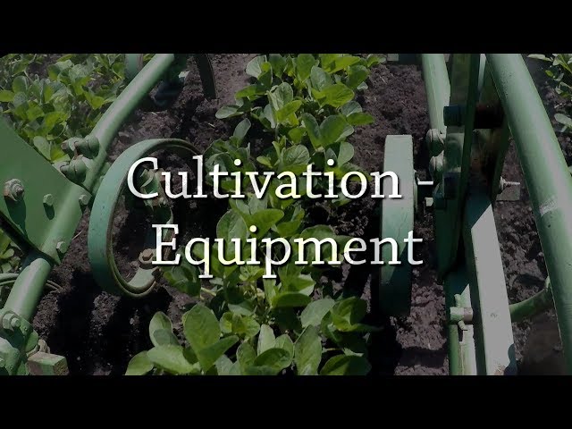 Cultivation - Equipment - Organic Weed Control