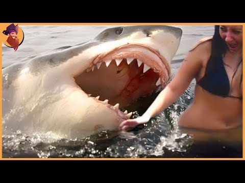 15 Best Shark Attacks Ever Caught On Camera
