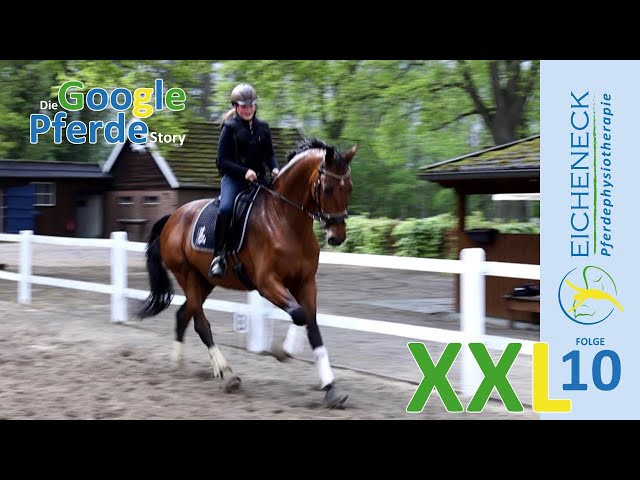 Reitunterricht XXL | Die Google Pferde Story - Folge 10