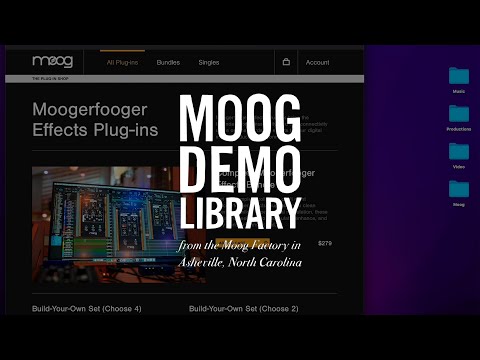 Exploring Moogerfooger Effects Plug-ins: Reviews, Demos, Artist Performances