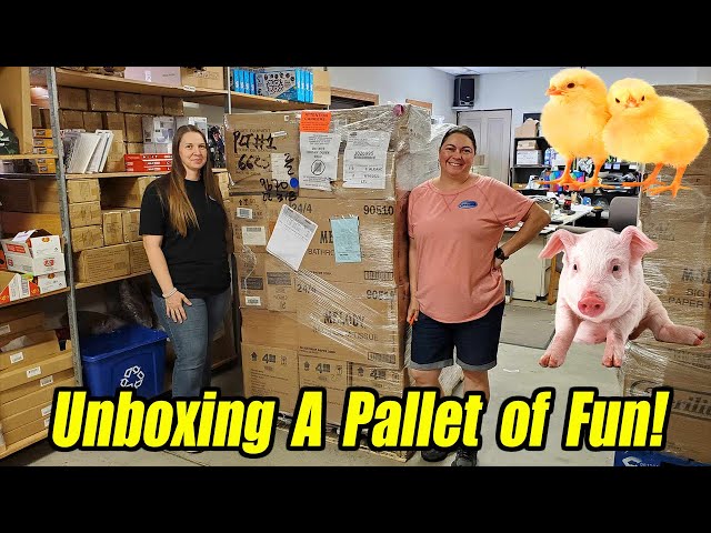 Unboxing a Pallet of Fun! with Tons of Employees - Chickens, Pigs, Roosters, Puzzles & More!