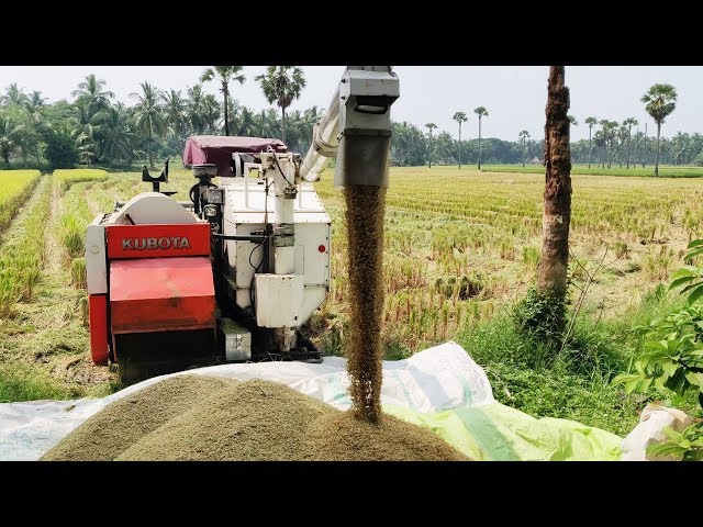 Rice Harvesting Machine | Paddy Cutting Machine | How Its Made Channel | Agriculture Machines