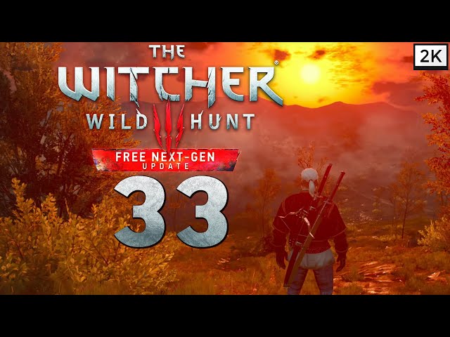 Lets Play The Witcher 3: Wild Hunt Remastered (Deutsch) [2K] #33 - Priscilla