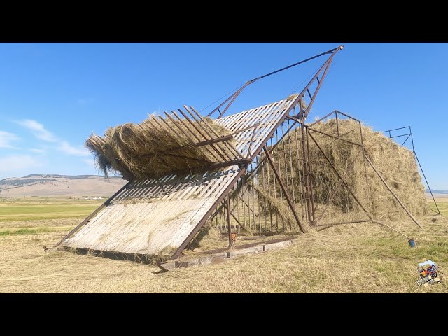 Stacking Hay in The Big Hole Valley Montana