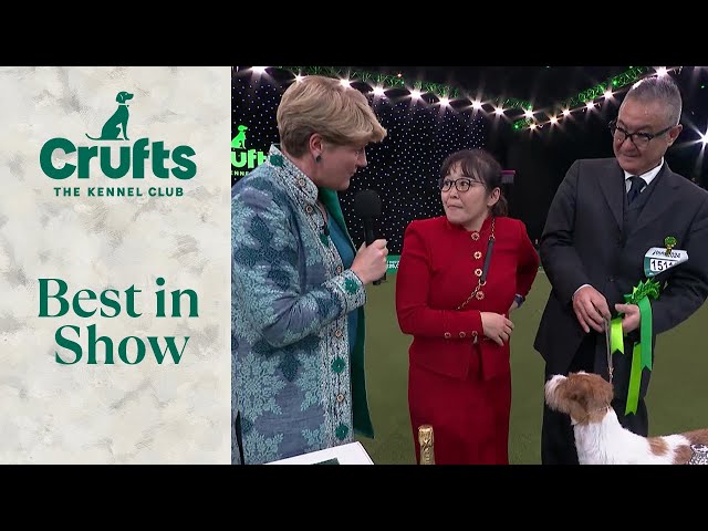 Reserve Best In Show Interview | Crufts 2024