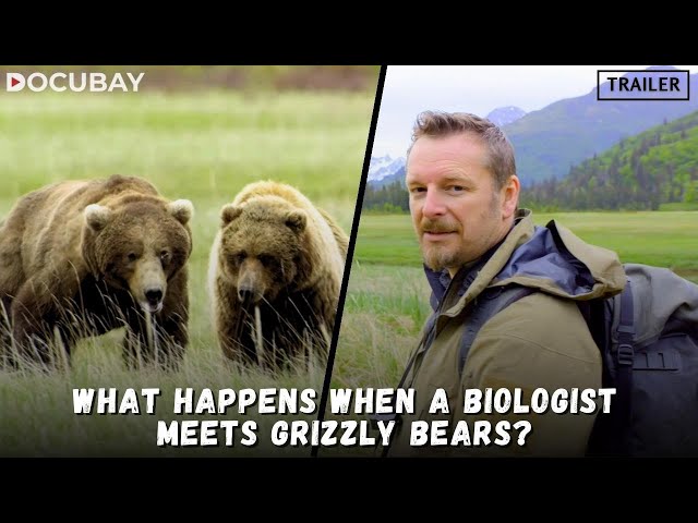 Get A Closer Look Of Alaska's Wild Brown Bears, In 'Grizzly Encounters With Chris Morgan'
