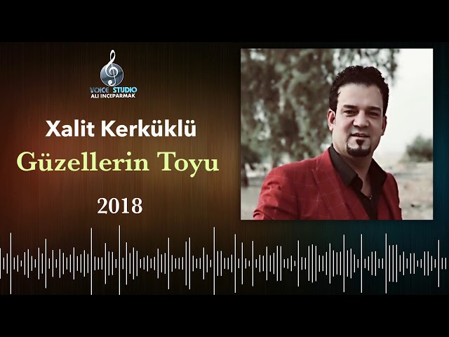 خالد كركوكلي - گوزللارين طويي 2018