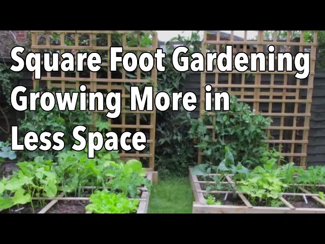 Square Foot Gardening (SFG): Growing More in Less Space