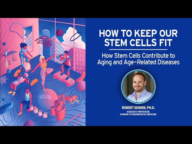 How Stem Cells Contribute to Aging and Age-Related Diseases with Rob Signer