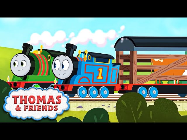 Thomas & seine Freunde Deutsch | Keine Lieferung zu groß oder klein | Cartoons für Kinder