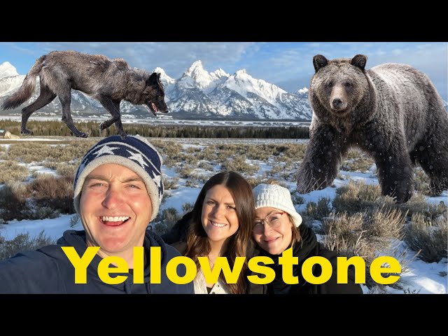 My Trip To Yellowstone & Grand Teton National Park 2022!