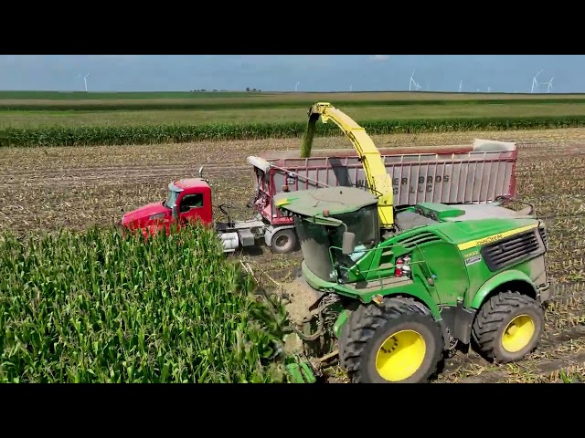Harvesting 1,500 Acres of Corn Silage in Just 6 Days!