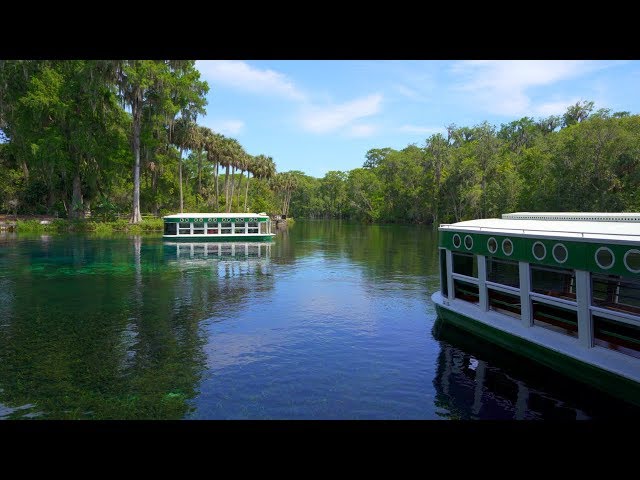 Florida Travel: Tour the Famed Silver Springs State Park