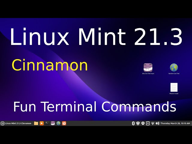 Linux Mint 21.3 - Cinnamon - Fun Terminal Commands 2.