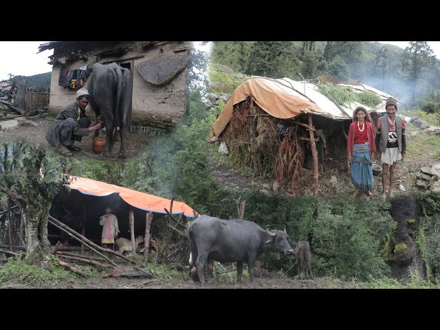 Surviving Life in the Nepali Mountains during the Rainy Season || IamSuman